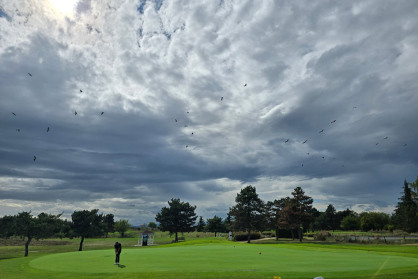 Le Bistro' - Vue de la terrasse